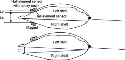 Fig. 1. Fig. 1.
