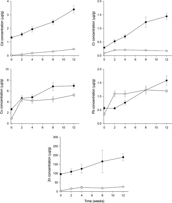 Fig. 6 Fig. 6