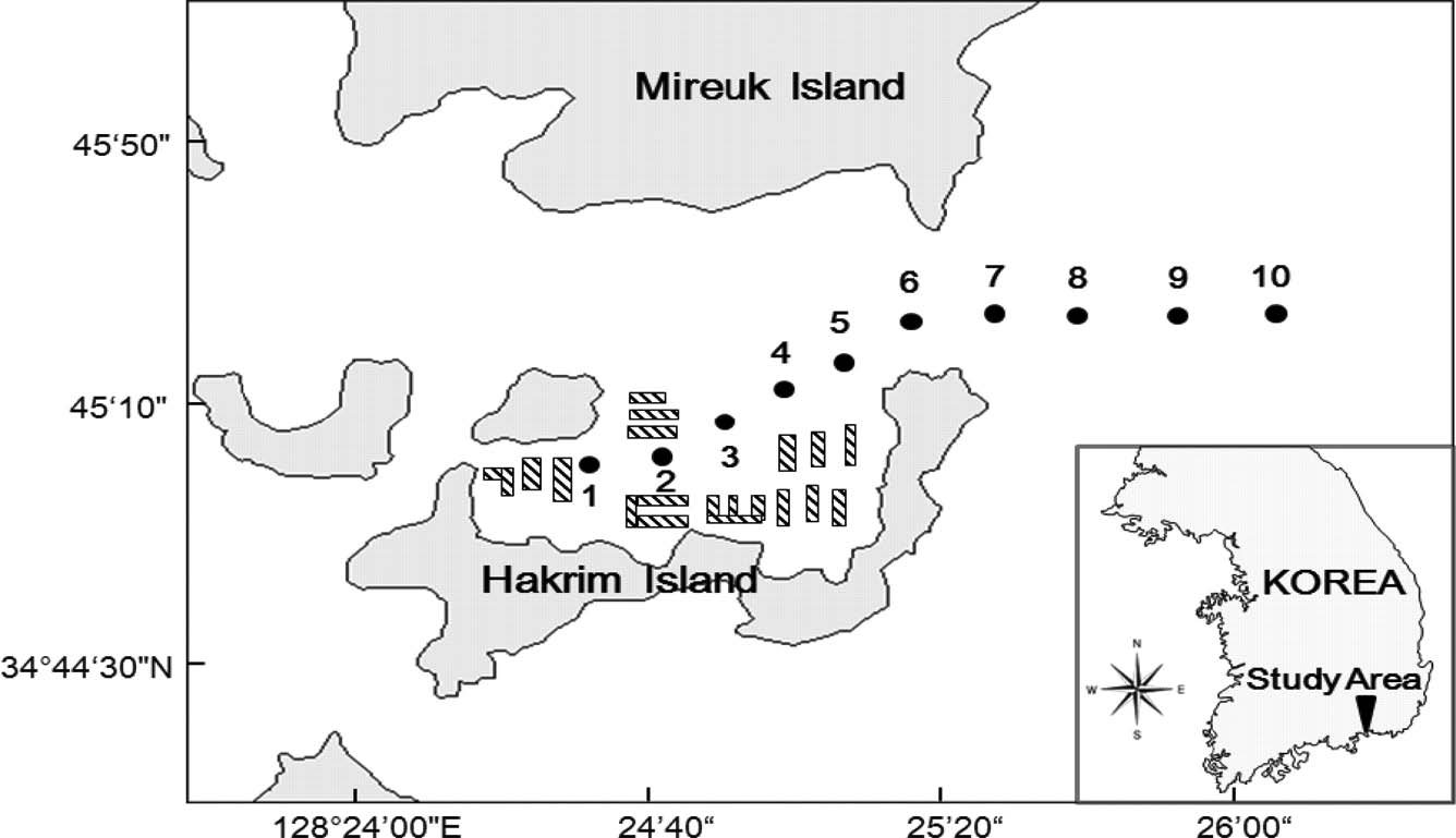 Fig. 1.