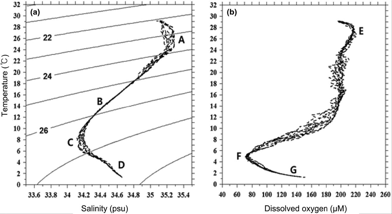 Fig. 4. Fig. 4.