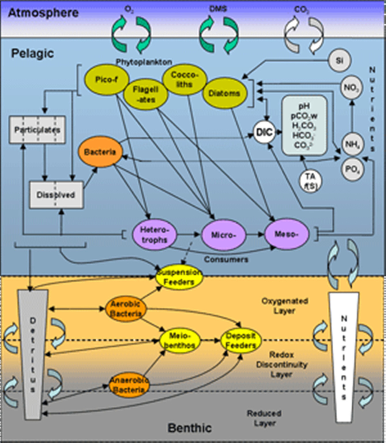Fig. 6. Fig. 6.