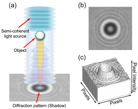 Fig. 1. Fig. 1.