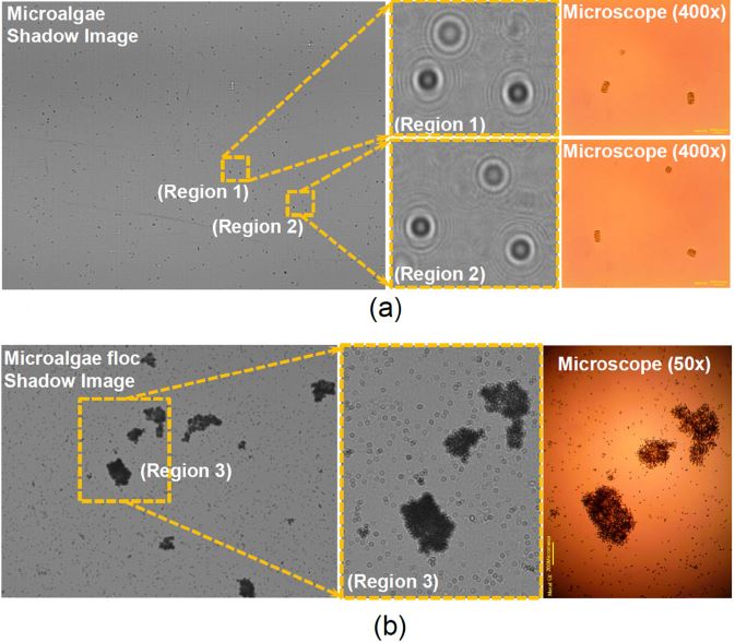 Fig. 3. Fig. 3.