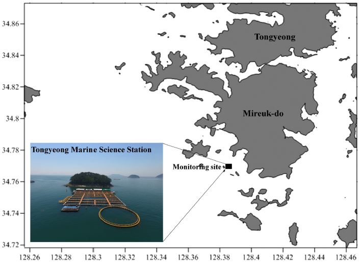 Fig. 1. Fig. 1.