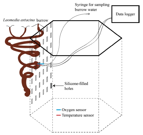 Fig. 2. Fig. 2.