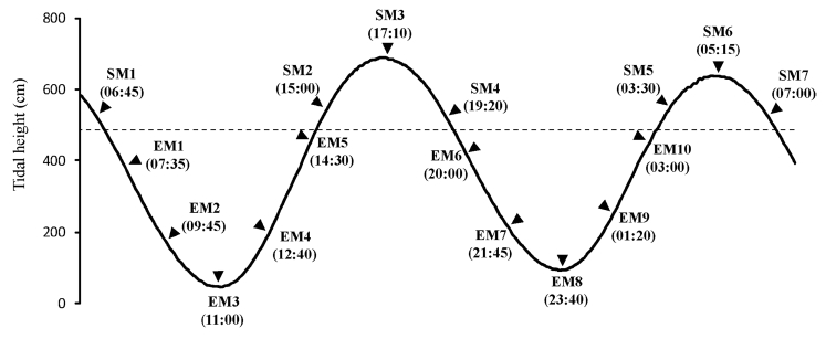 Fig. 3. Fig. 3.