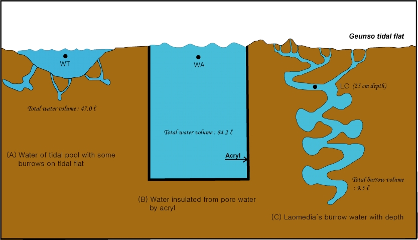 Fig. 4. Fig. 4.