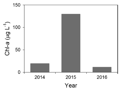 Fig. 12.
