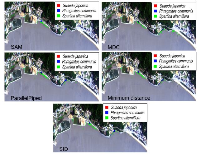Fig. 4. Fig. 4.
