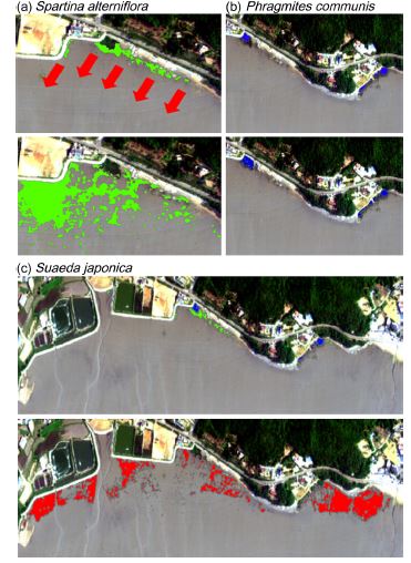 Fig. 6.