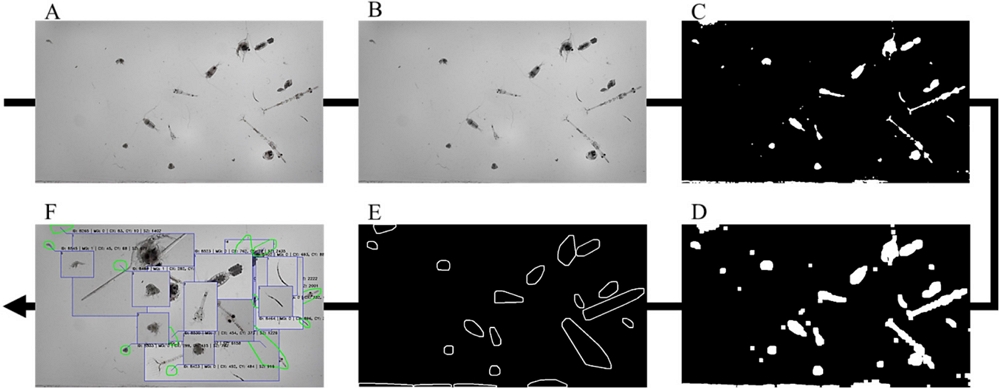 Fig. 3. Fig. 3.