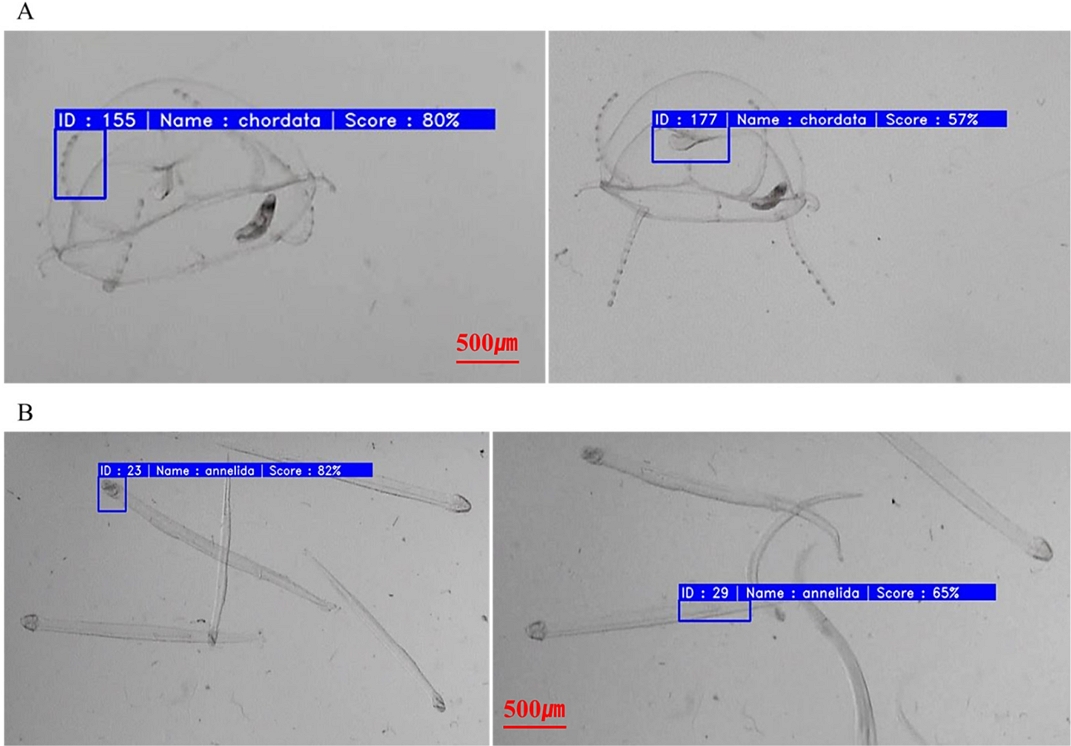 Fig. 6.