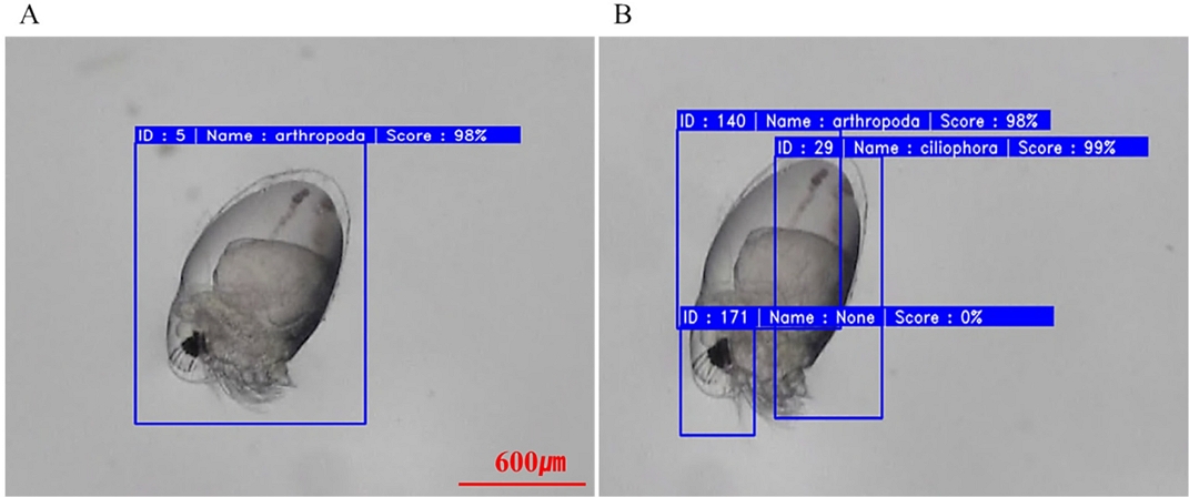Fig. 7.