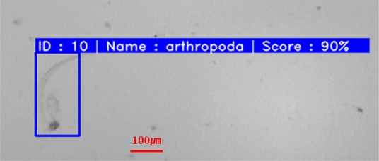 Fig. 9.