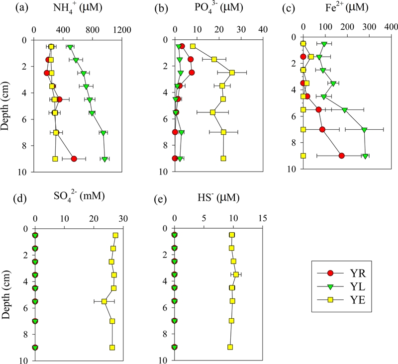 Fig. 4. Fig. 4.