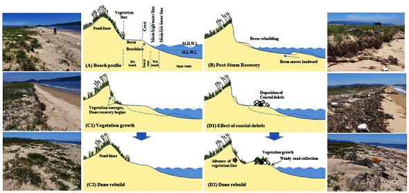 Fig. 4. Fig. 4.