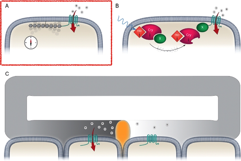 Fig. 2. Fig. 2.