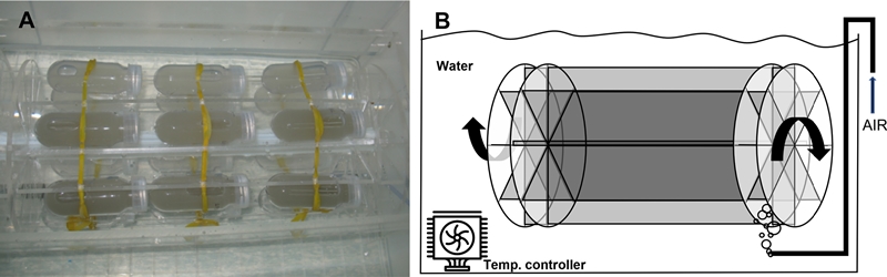 Fig. 1.