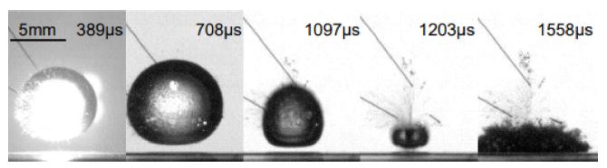 Fig. 6.