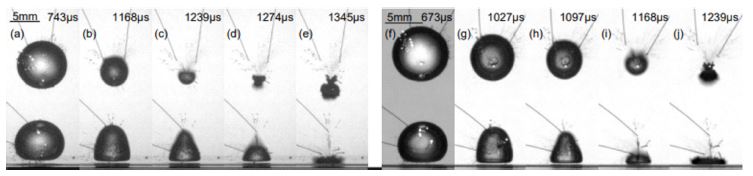 Fig. 8.