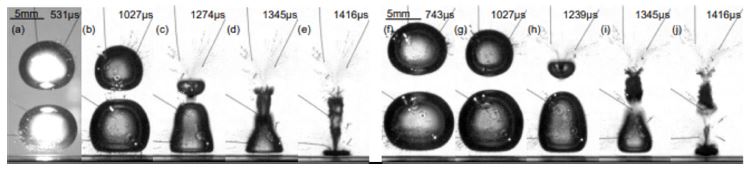 Fig. 9.