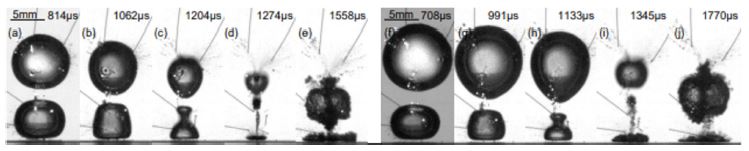 Fig. 10.