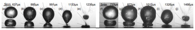 Fig. 11.