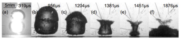 Fig. 12.