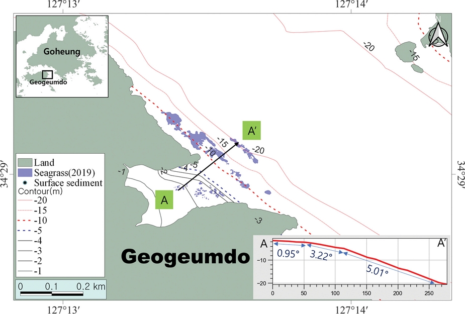 Fig. 11.