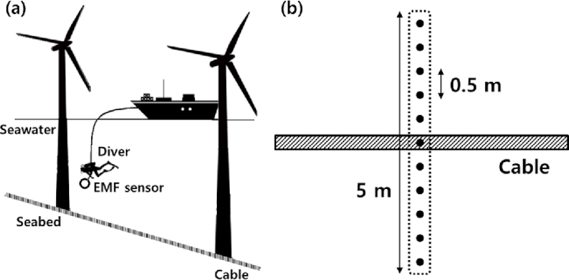 Fig. 3. Fig. 3.